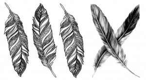 Feathers