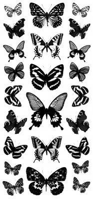 Butterflies