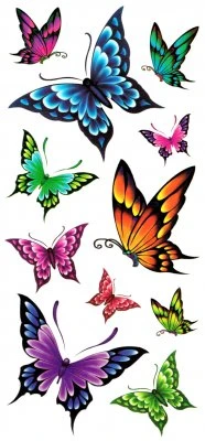 Colorful butterflies