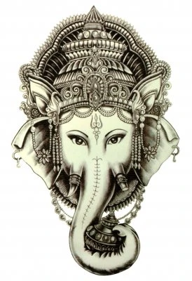 Indian Elephant Head