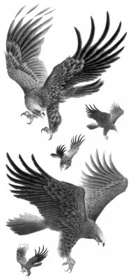 Birds Of Prey