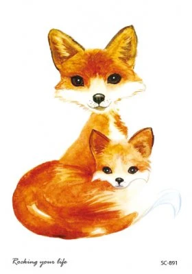 Cute foxes