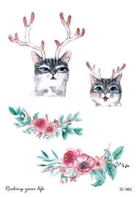 Cats with raindeer horns