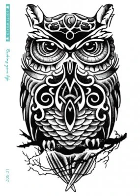 MIGHTY OWL