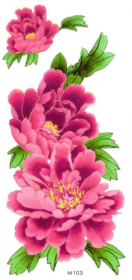 Pink Peonies