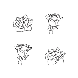 Mini Roses