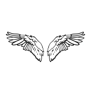 Bird Angel Wings