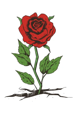 Red Rose in a Crack