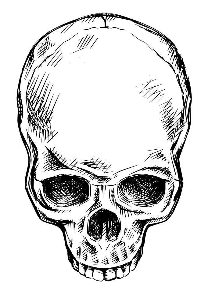 Dead Skull @ Tattstore