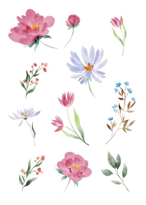 Watercolor Flowers Set