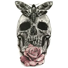 BUTTERFLY SKULL