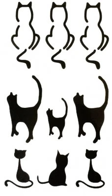 Nine cats