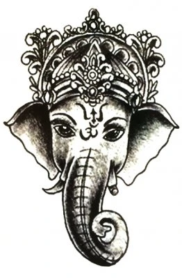 Indian Elephant